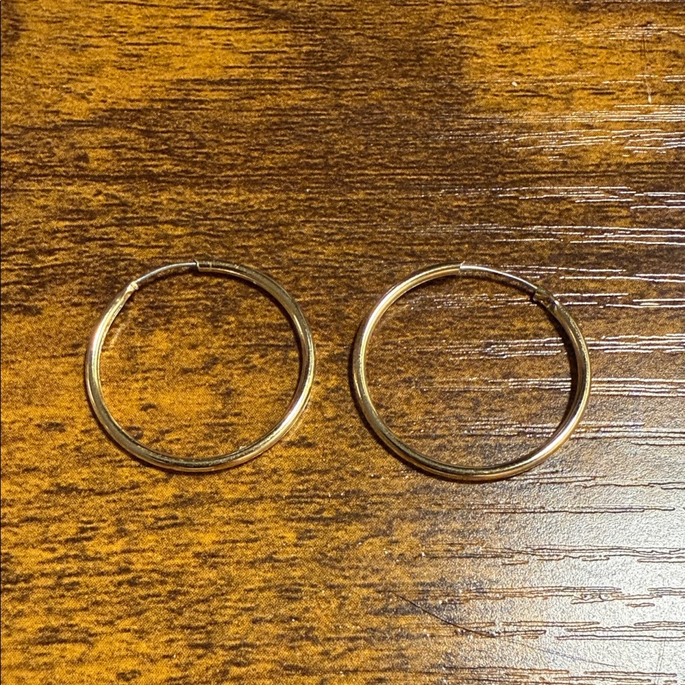 Elegant Gold Tone Hoop Earrings
